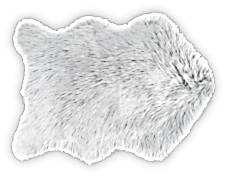 Химчистка ковров на фабрике